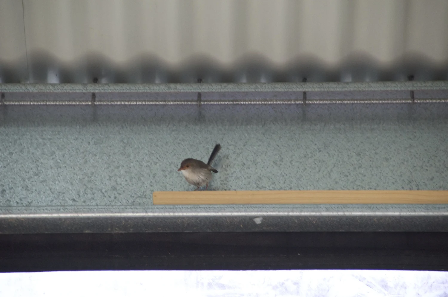 Additional image 16 of 1038 Monarto Road, Monarto SA 5254