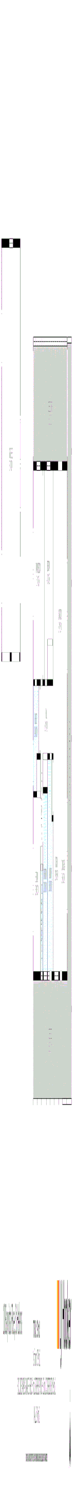 Image 36