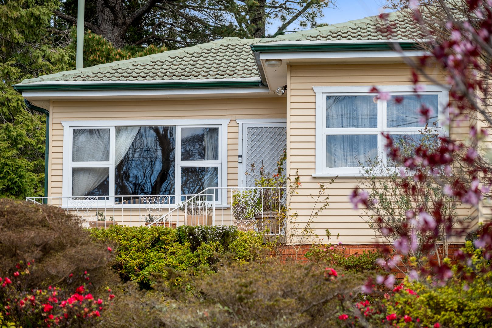 11 Raymond Road, Katoomba NSW 2780, Image 2