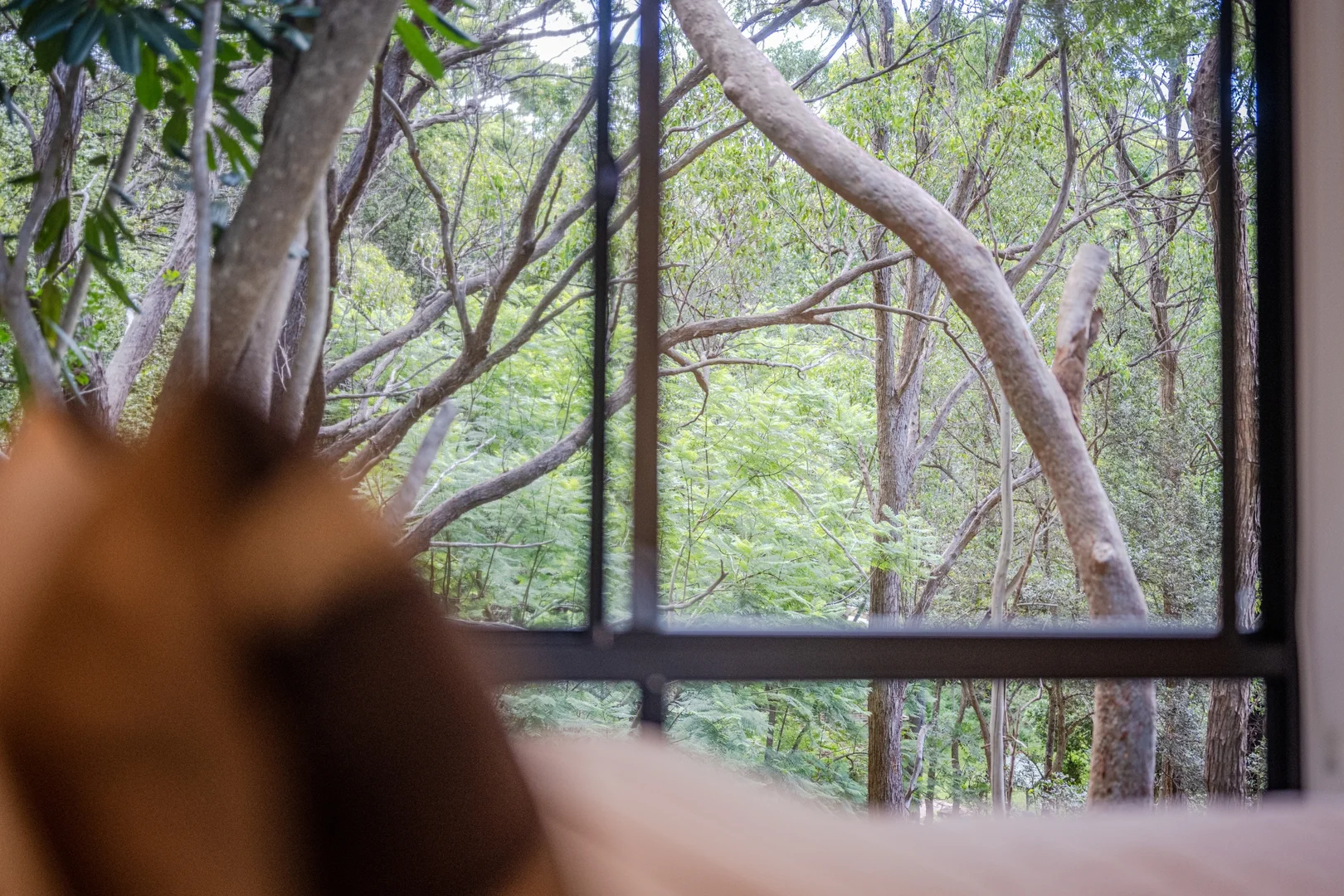 Additional image 13 of 16 Martha Jane Avenue, Killcare NSW 2257