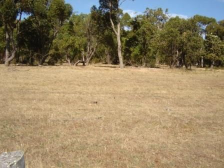 BOYANUP WA 6237, Image 1