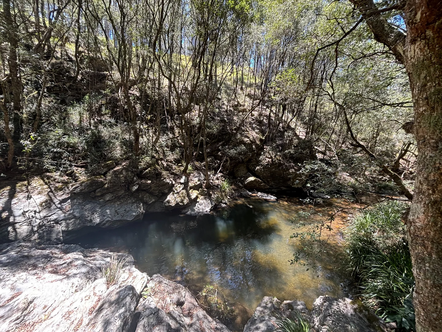 Additional image 12 of 83 Eaglehawk Trail, Yarrowitch NSW 2354