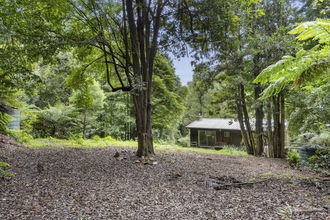 Picture of 274 Mount Irvine Road, MOUNT WILSON NSW 2786