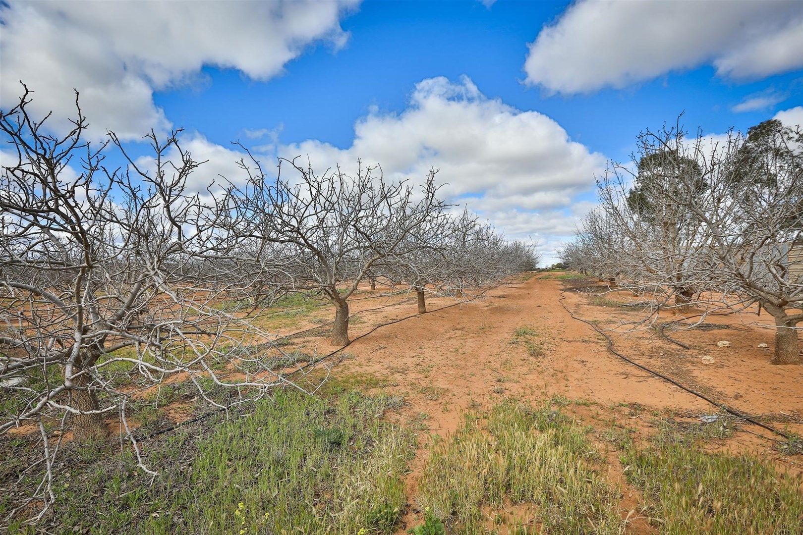 Lot 4 Barnetts Road, Red Cliffs VIC 3496, Image 0