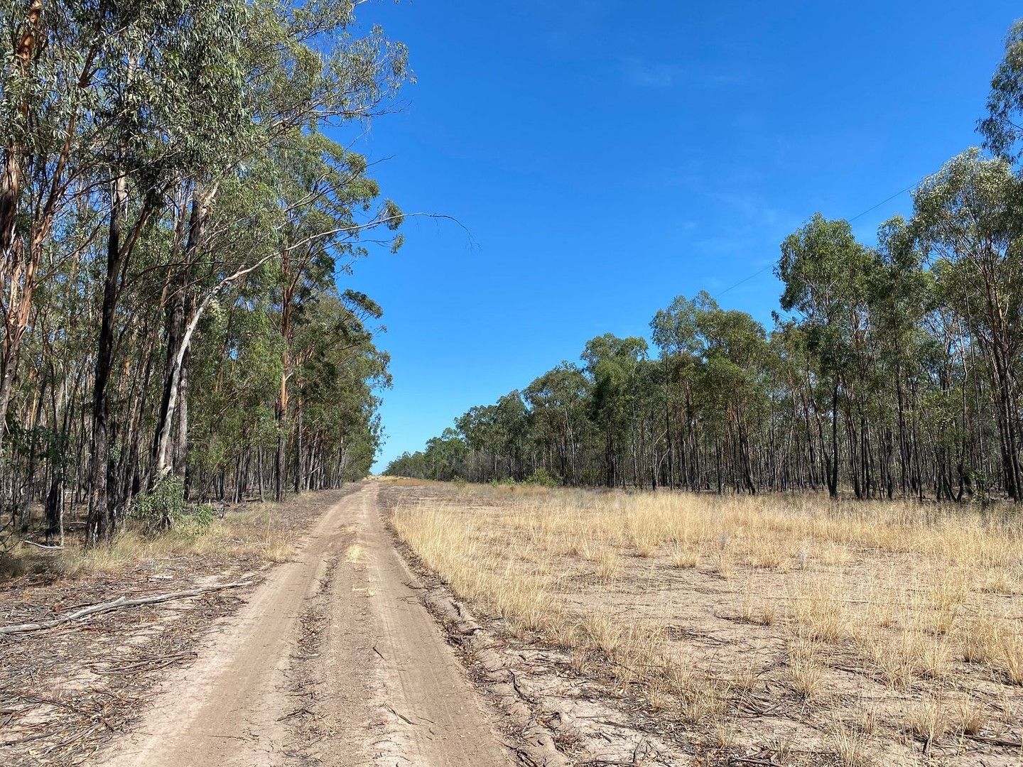 Lot 11 Wieambilla Road, Tara QLD 4421, Image 0