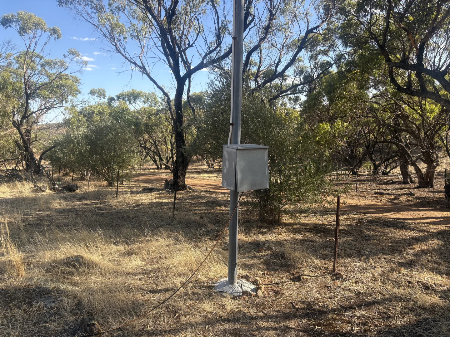 Image 7