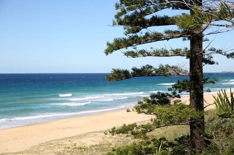 Additional image 11 of 26 Pacific Boulevard, Buddina QLD 4575