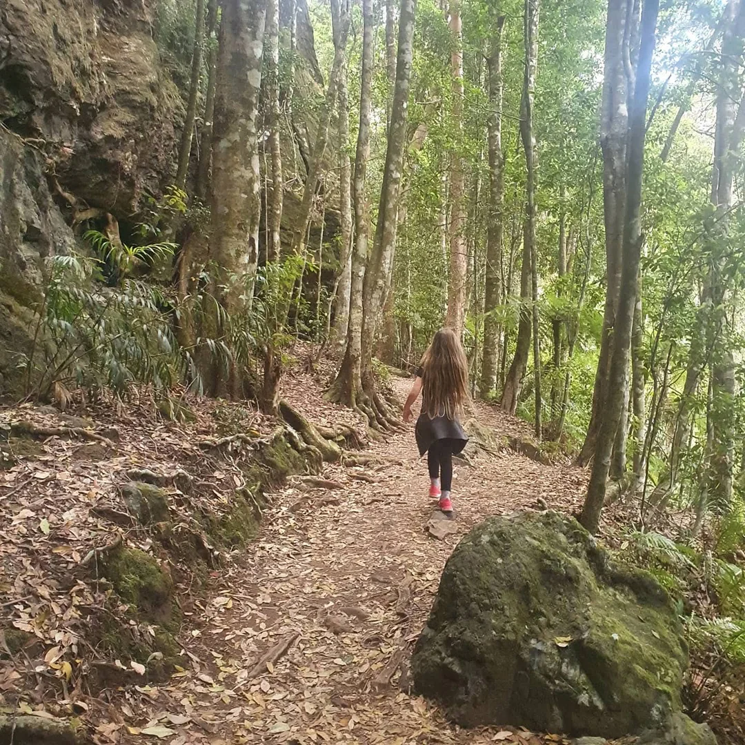 Additional image 13 of Springbrook QLD 4213