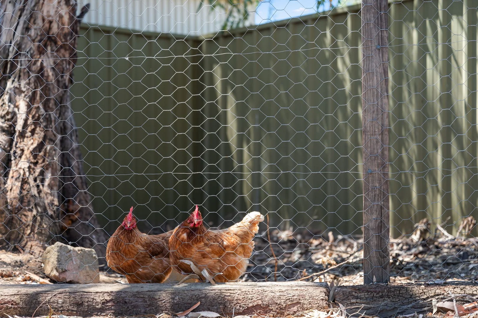 Additional image 22 of 7B Ibis Court, Mount Barker SA 5251