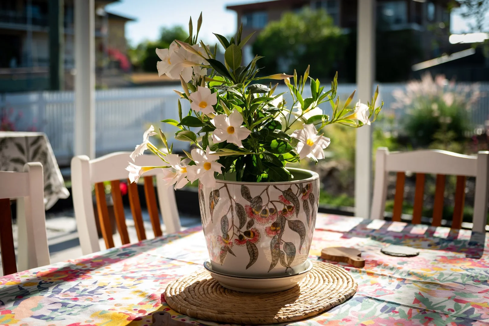 Image 27