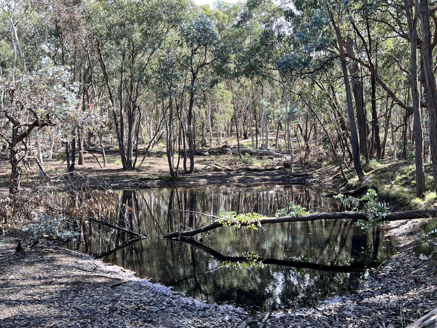 Lot 1 Collector Road, Gunning NSW 2581, Image 2