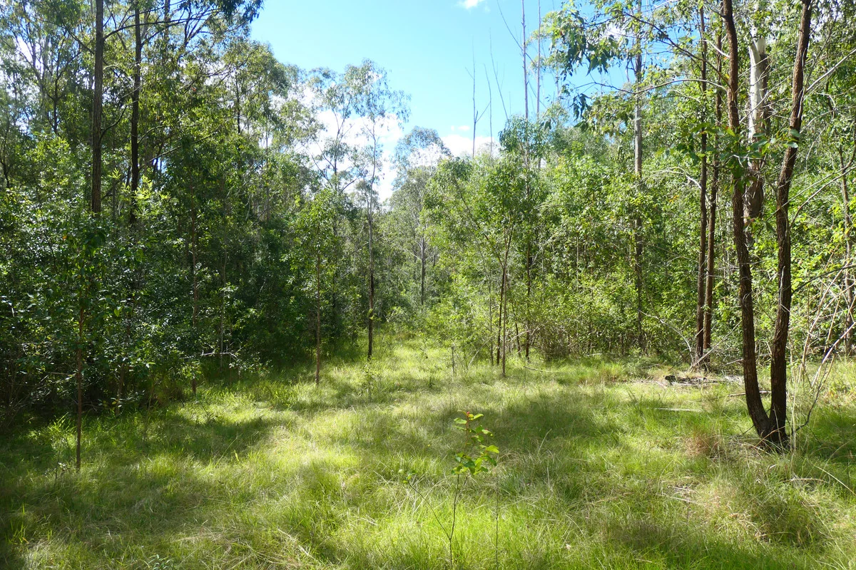 Image 9