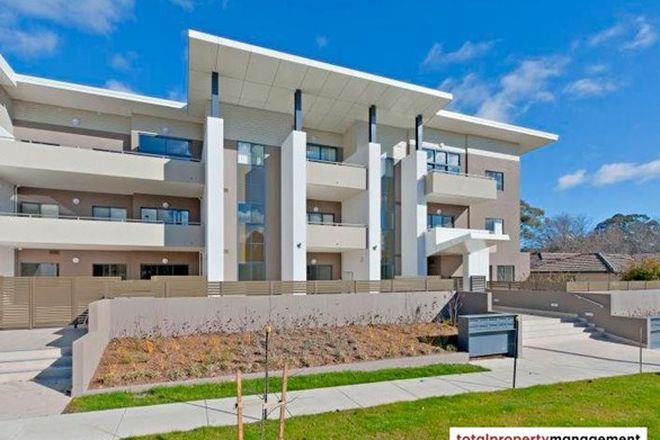 115 Rental Properties In Deakin Act 2600 Domain