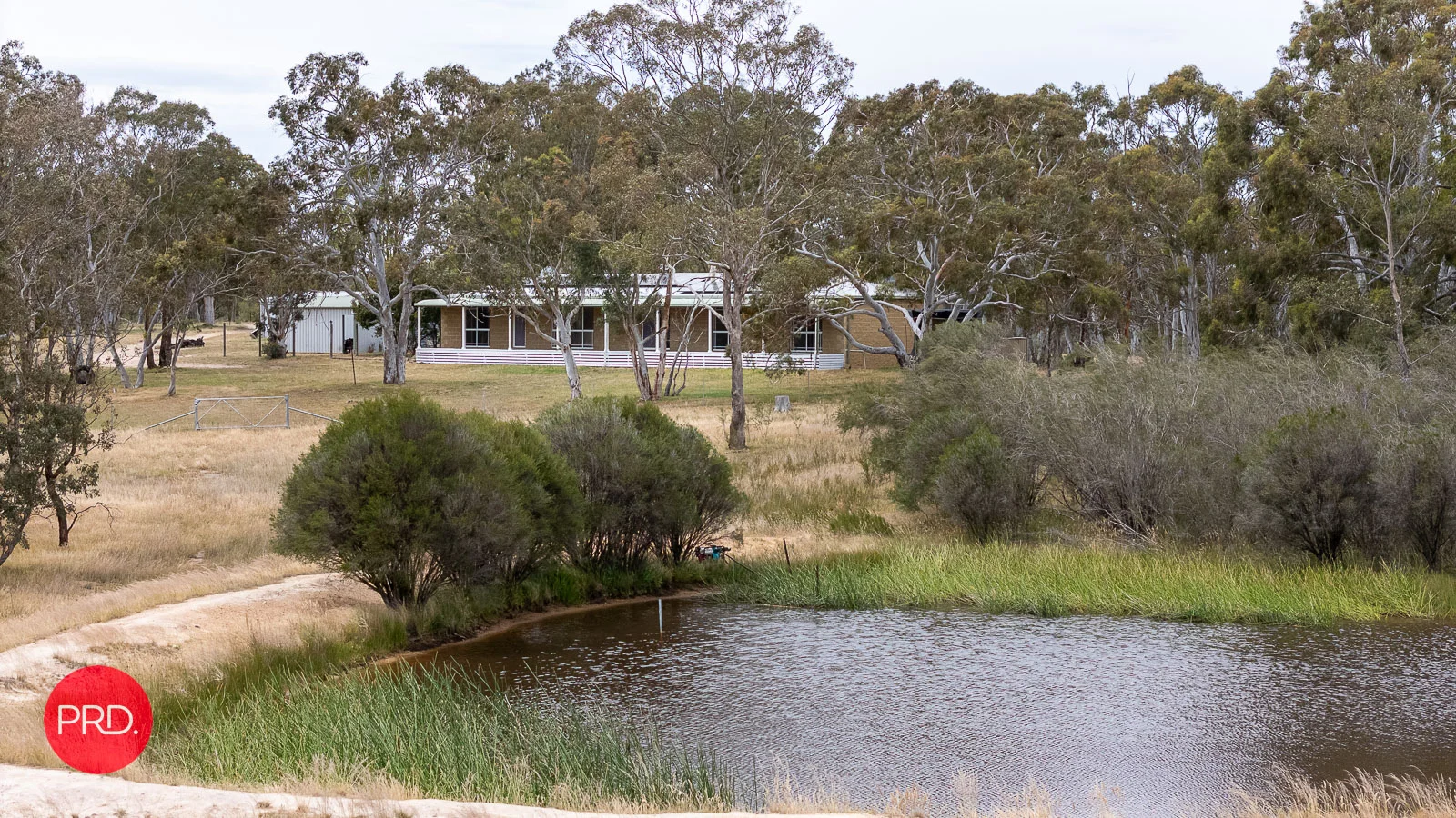 Image 25