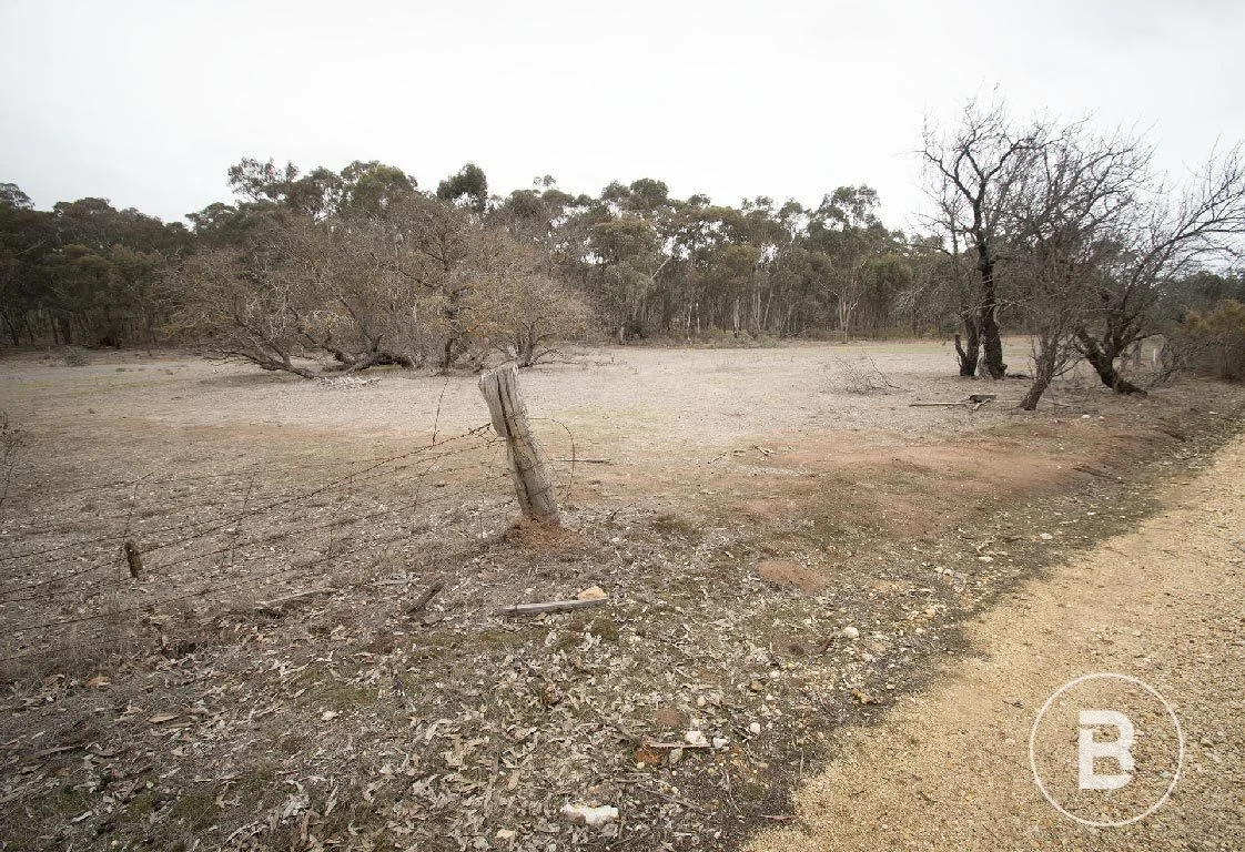 Image 14