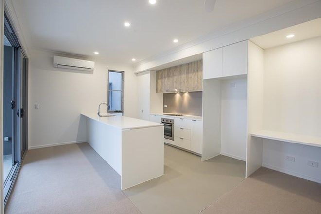 42 Rental Properties In Binna Burra Qld 4211 Domain