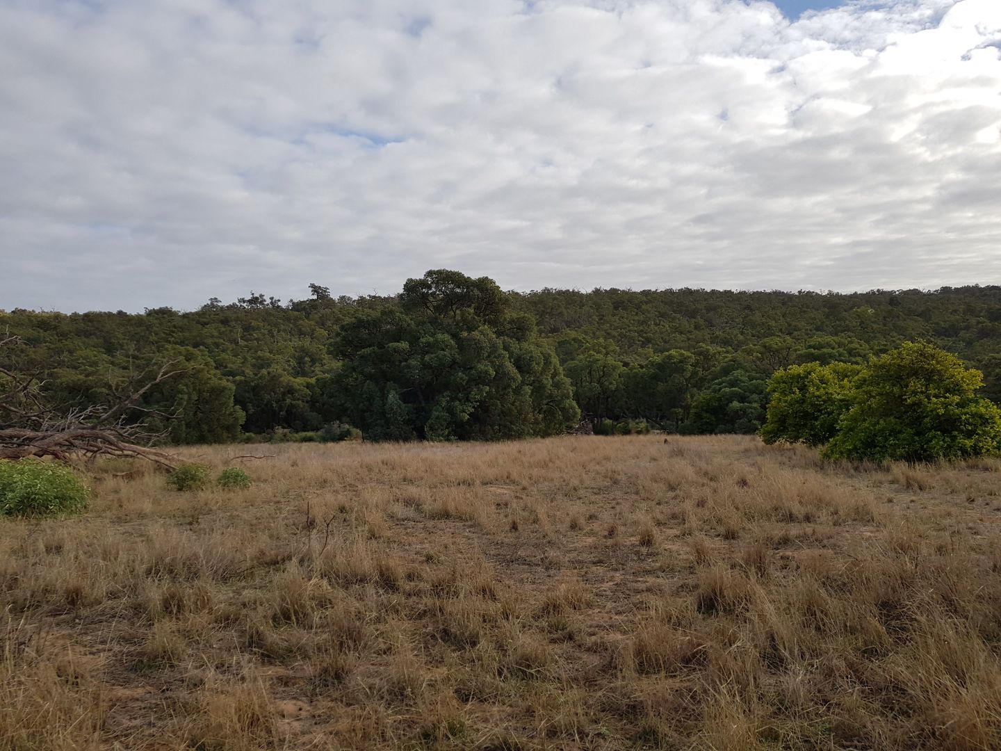 451 Reserve Rd, Chittering WA 6084, Image 2