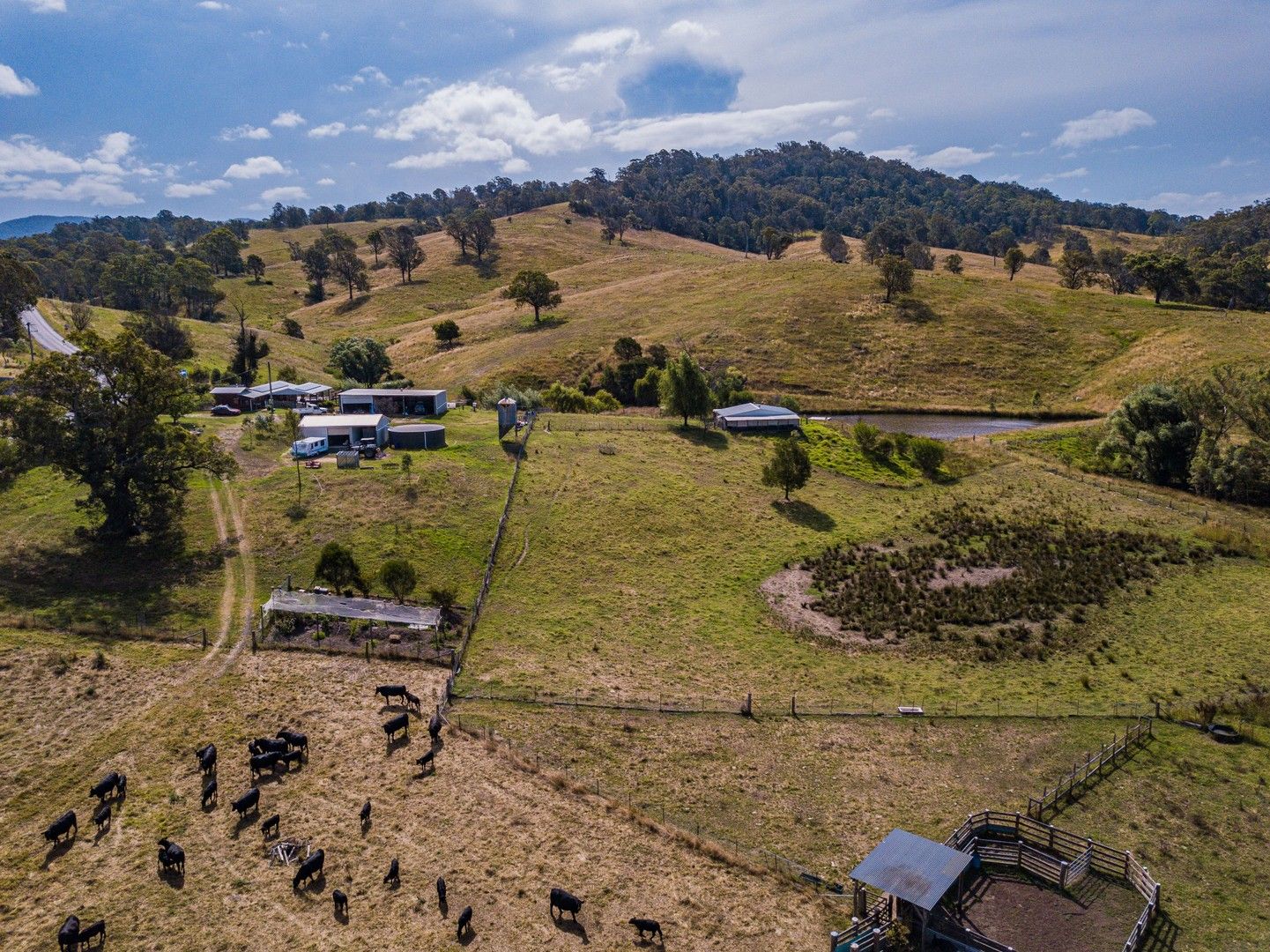 222 WARRIGAL RANGE ROAD, Brogo NSW 2550, Image 0