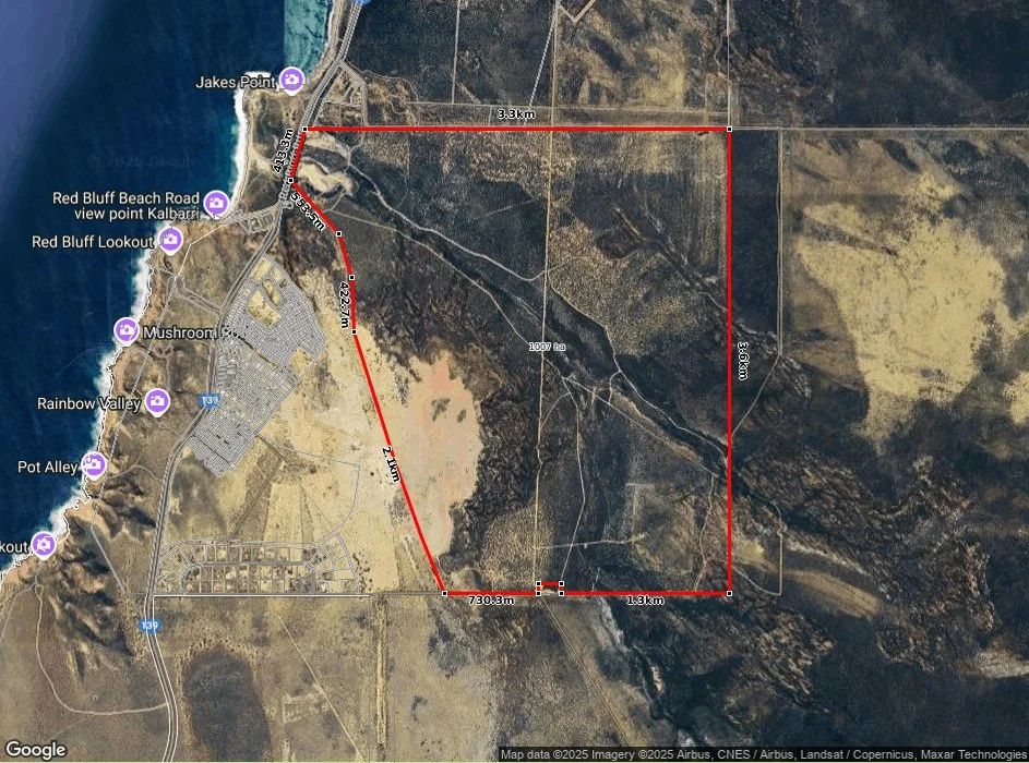 Image 6