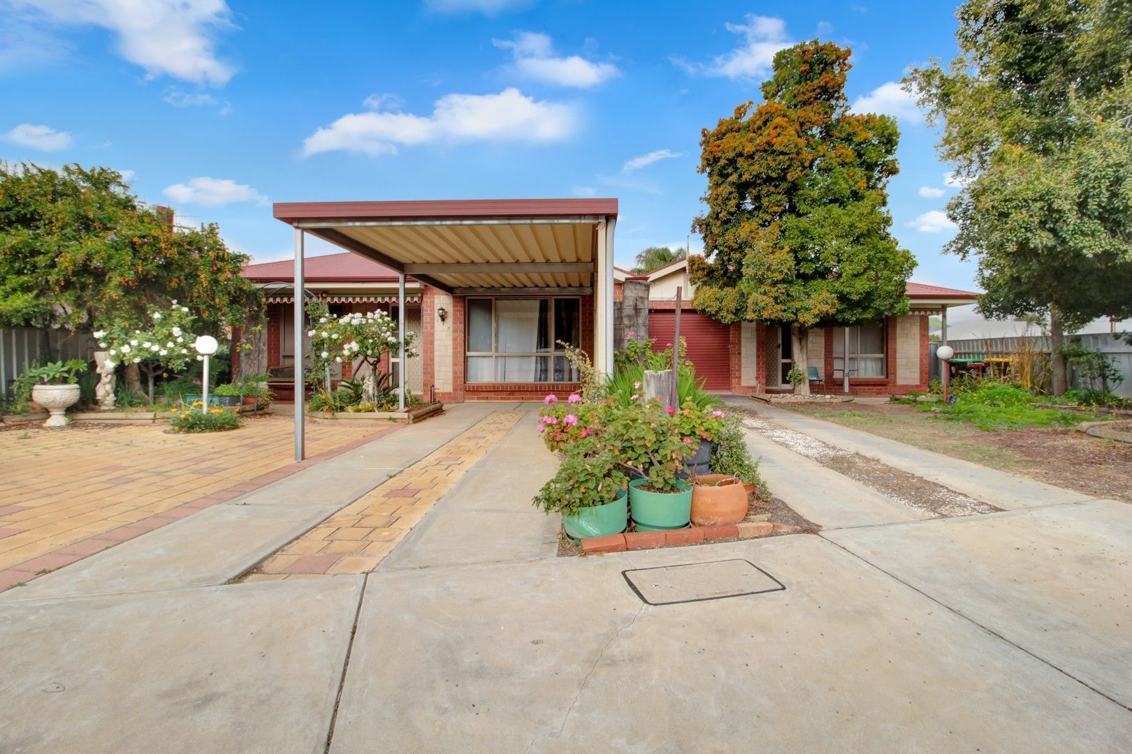 125 Cowra Street, Renmark SA 5341, Image 0