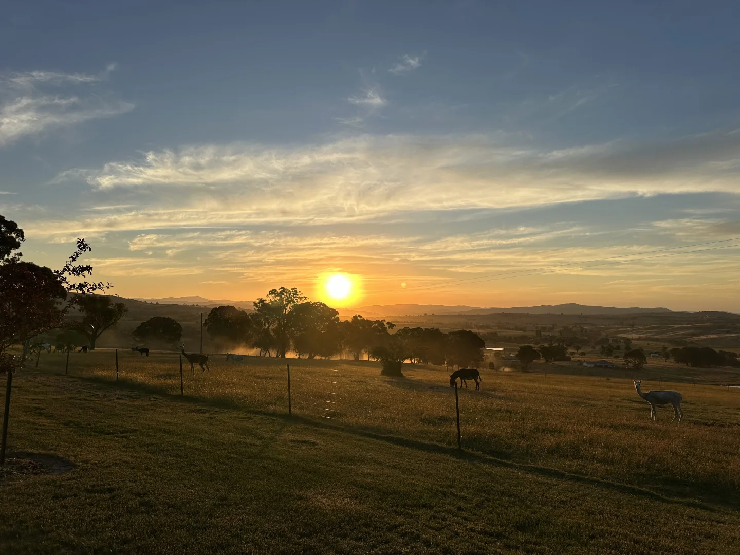 Additional image 30 of 187 Mccormacks Road, Merrijig VIC 3723