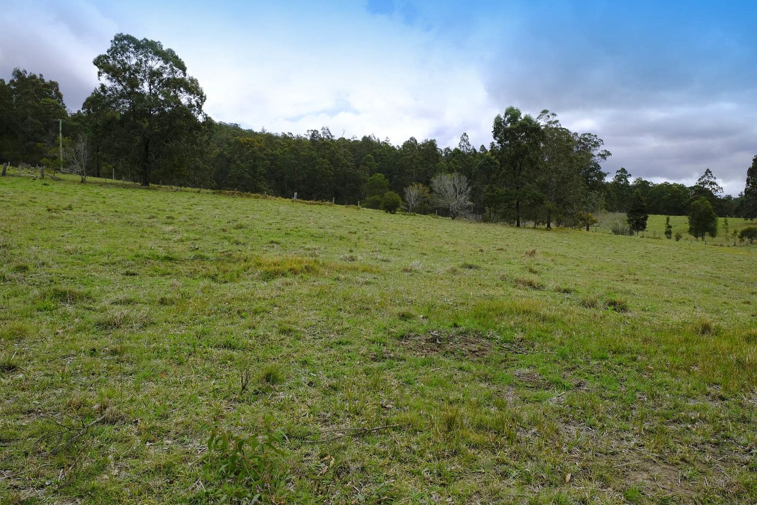 Lot 2 Prices Creek Road, Bunyah NSW 2429, Image 0