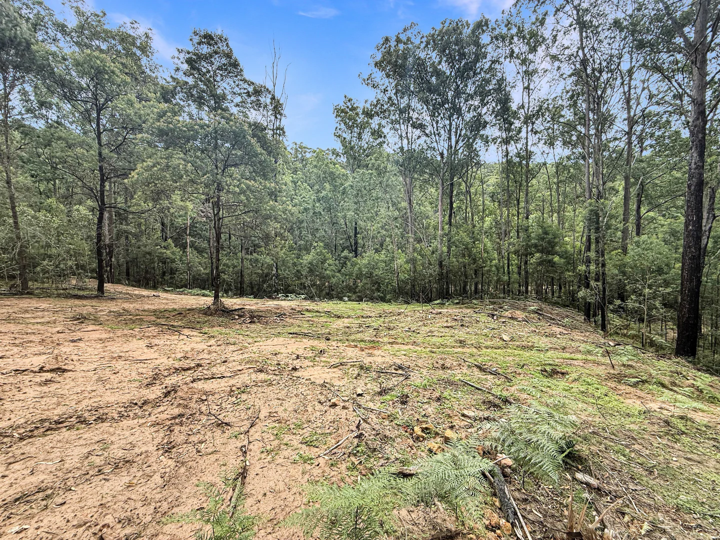 Additional image 9 of 112 Finchley Track, Laguna NSW 2325