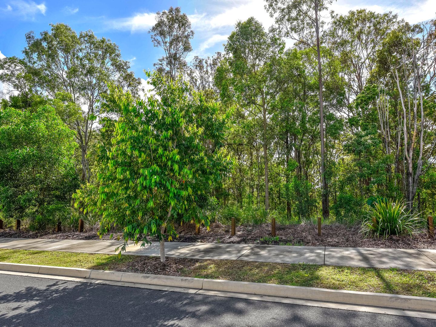 26 Sawmill Drive, Griffin QLD 4503, Image 2