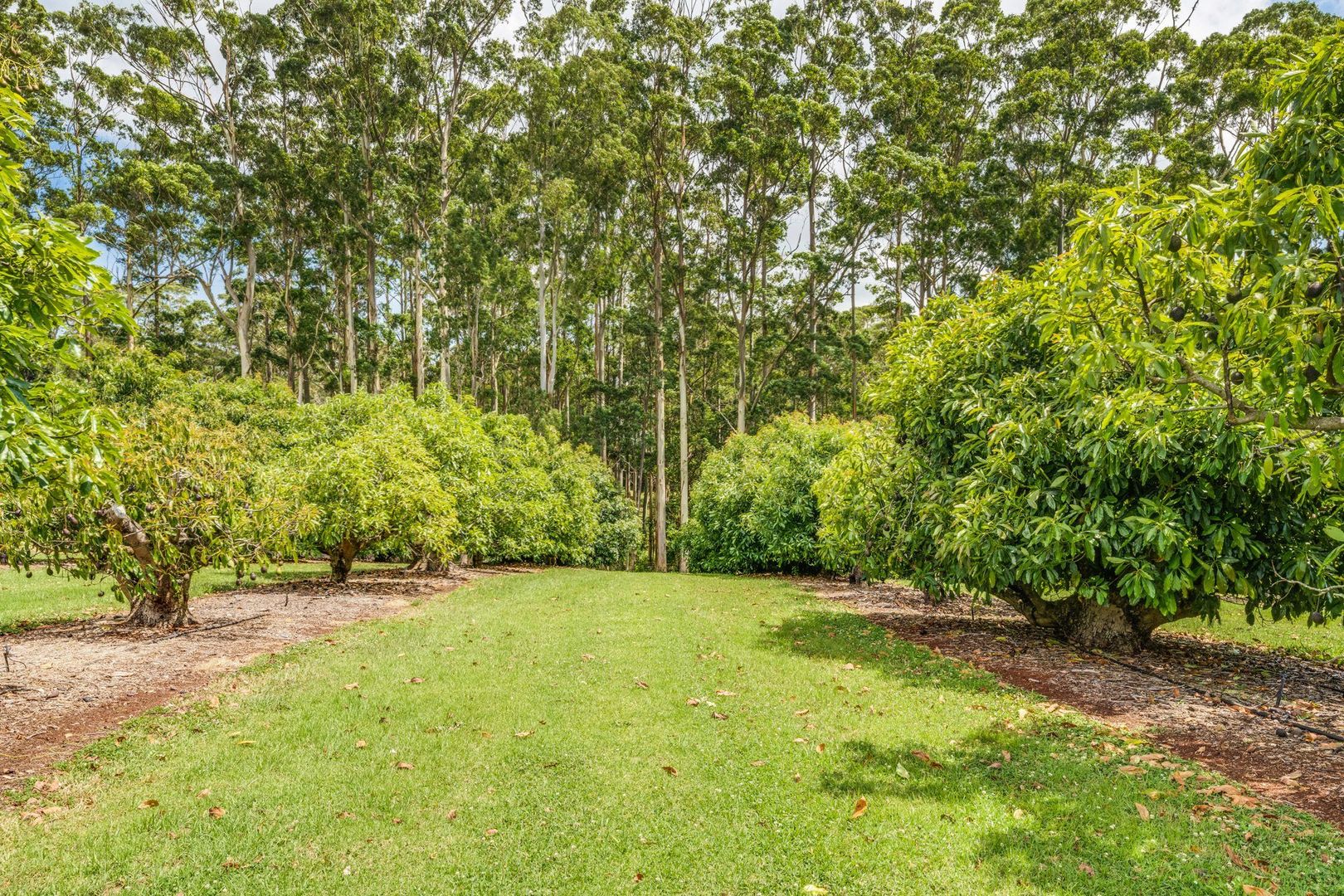 Lot 9/41- 43 Manitzky Road, Tamborine Mountain QLD 4272, Image 1