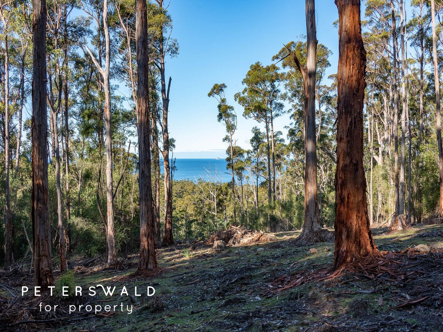 298 Pirates Bay Drive, Eaglehawk Neck TAS 7179, Image 0