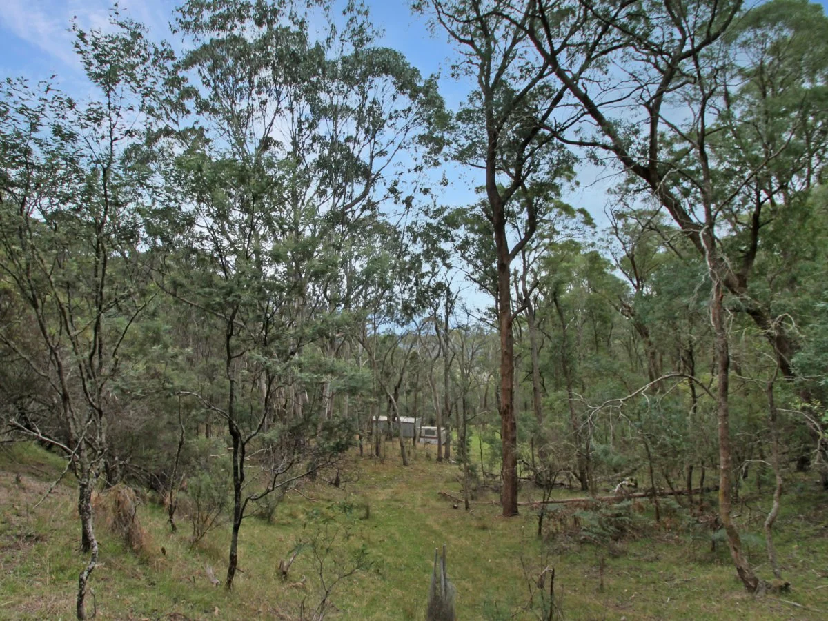 Additional image 15 of 135 Kangaroo Track, Omeo VIC 3898