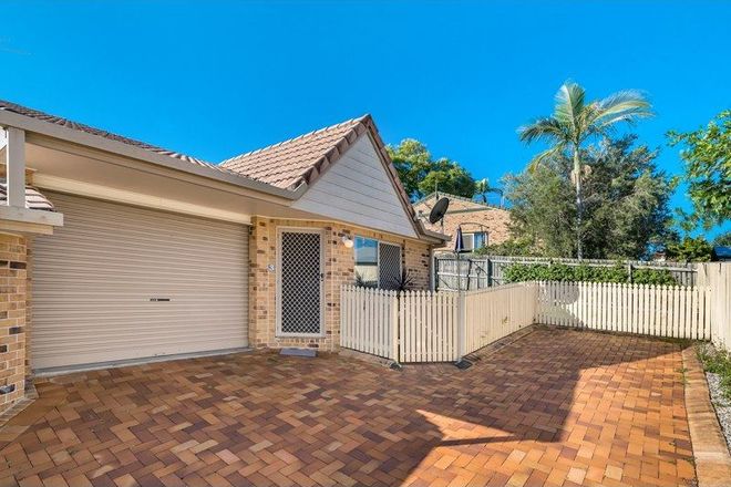 Picture of 3/19 Fallon Street, EVERTON PARK QLD 4053