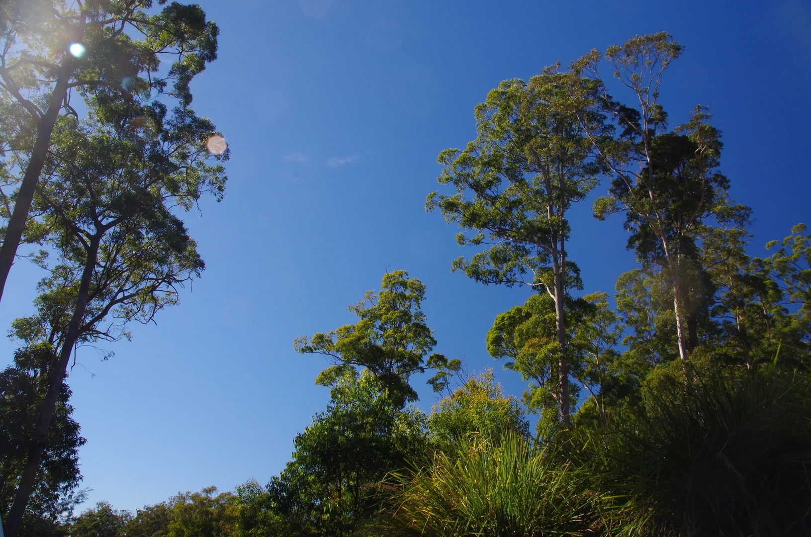 Image 13