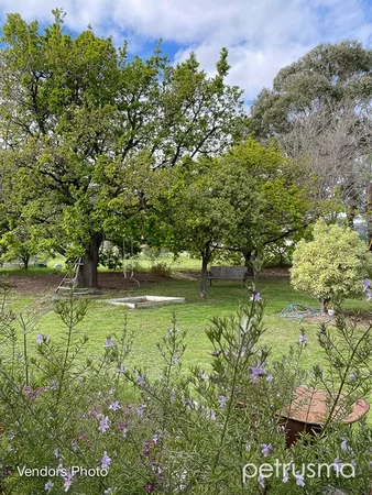 Image 31