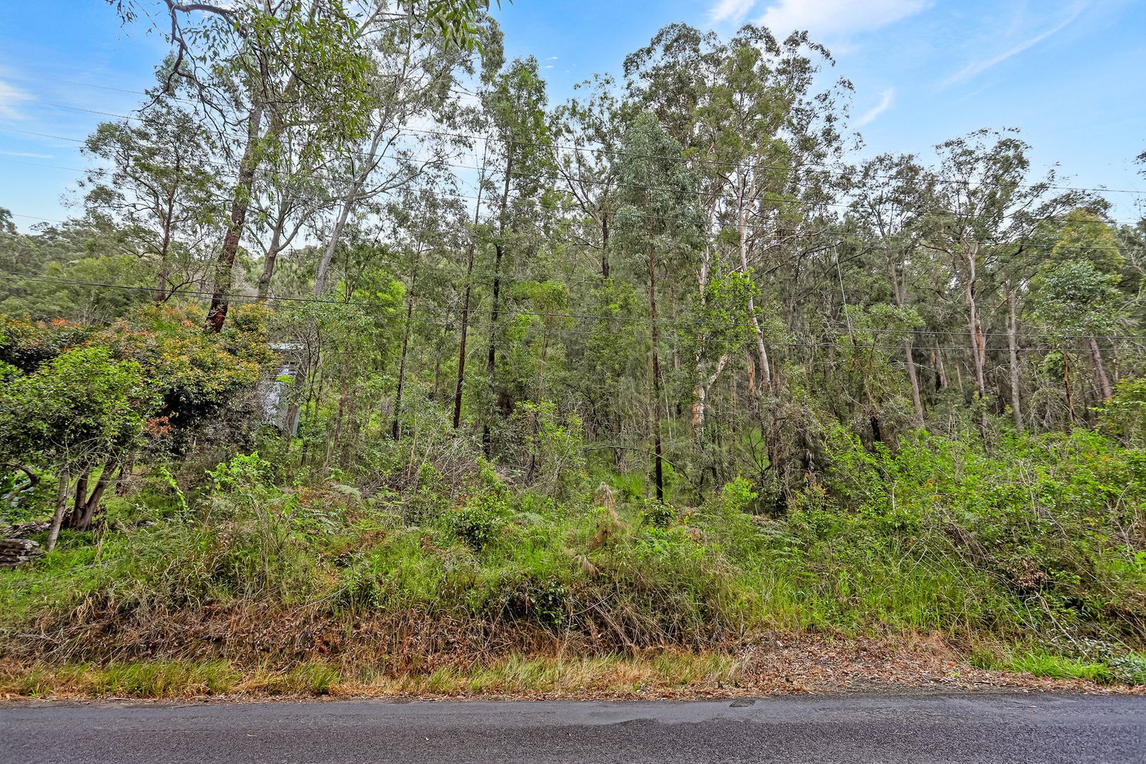 4442 Wisemans Ferry Rd, Spencer NSW 2775, Image 1