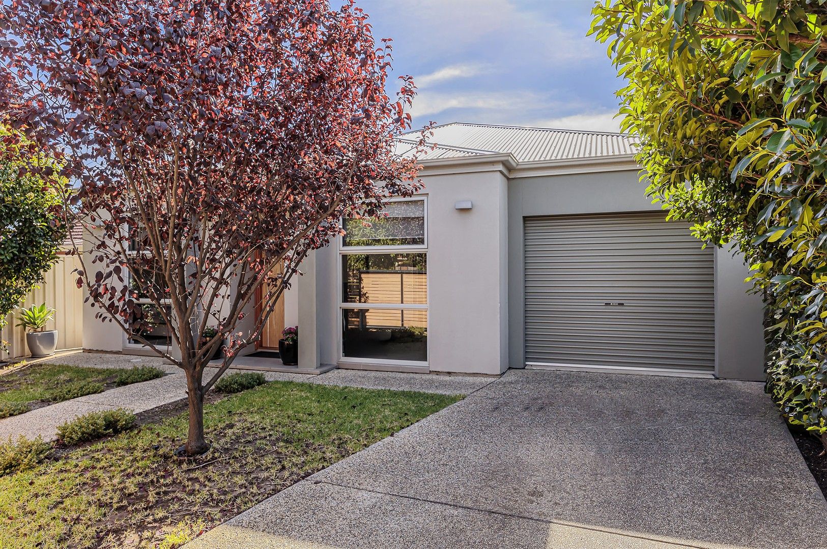 36 Birdwood Terrace, North Plympton SA 5037, Image 0