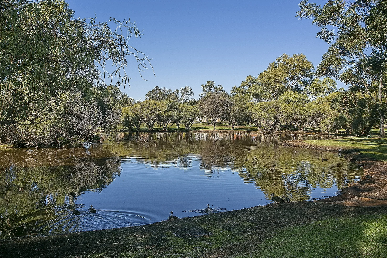 Additional image 23 of 2 Thurles Court, Waterford WA 6152