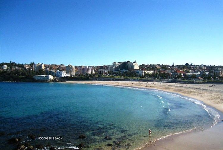 29 Fairsky St, Coogee NSW 2034, Image 2