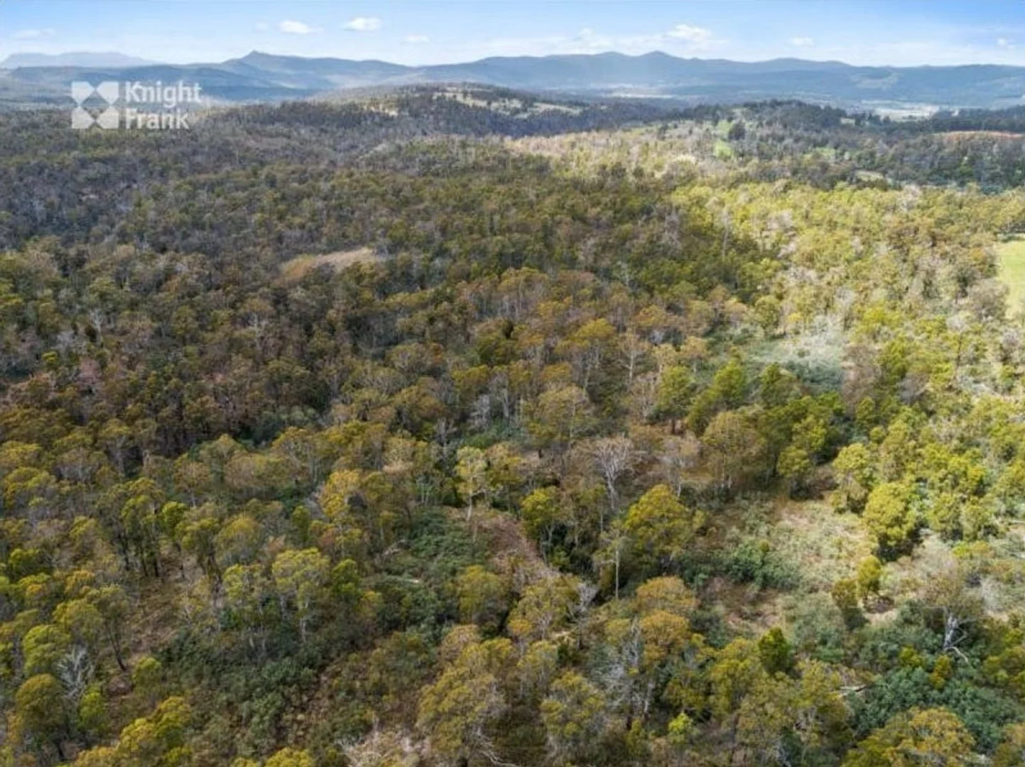 Additional image 16 of 1 Buckland Road, Buckland TAS 7190