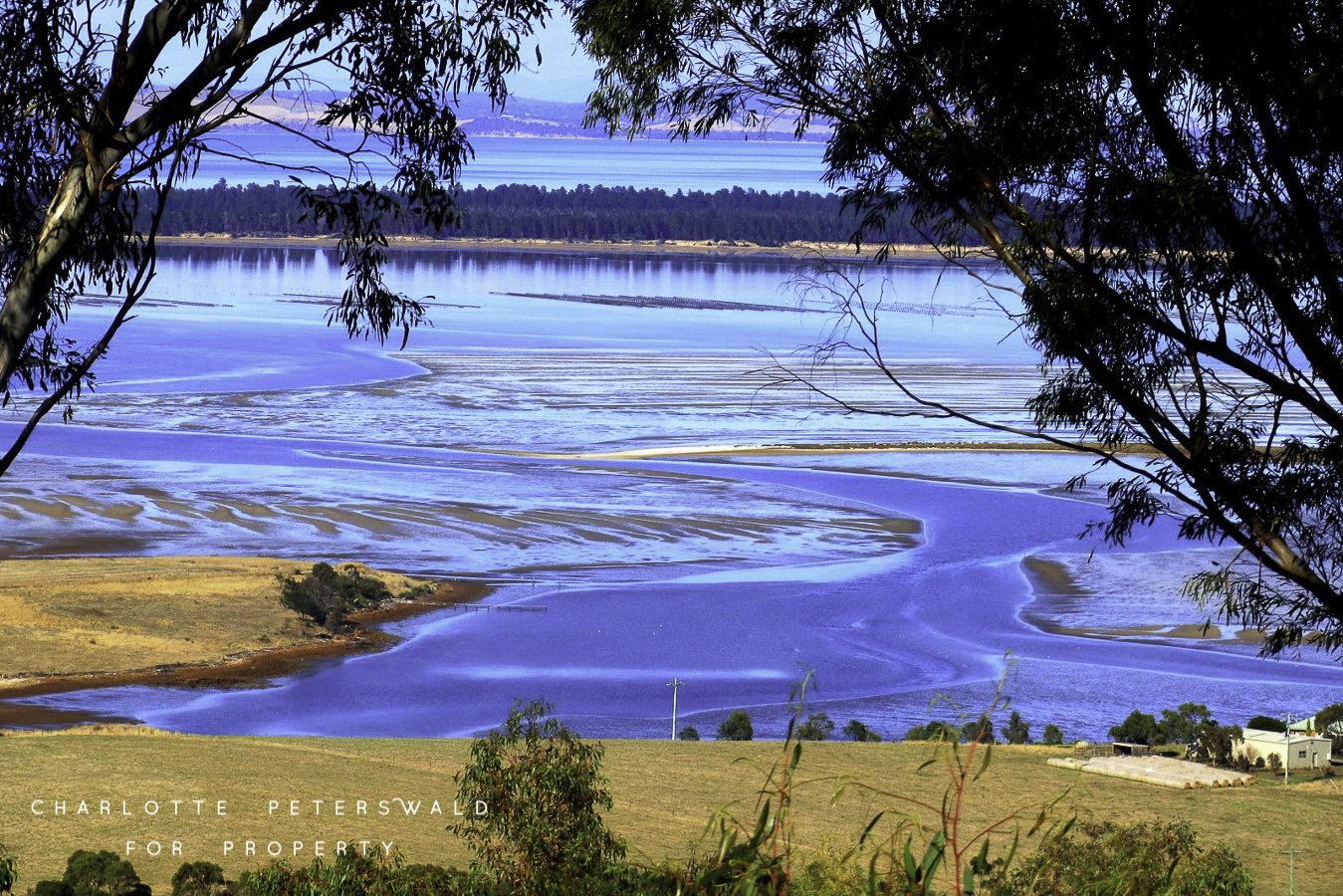 40 Schofield Drive, Sorell TAS 7172, Image 1