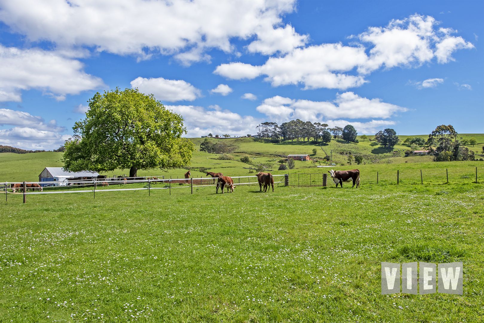 65 Table Cape Road, Wynyard TAS 7325, Image 2