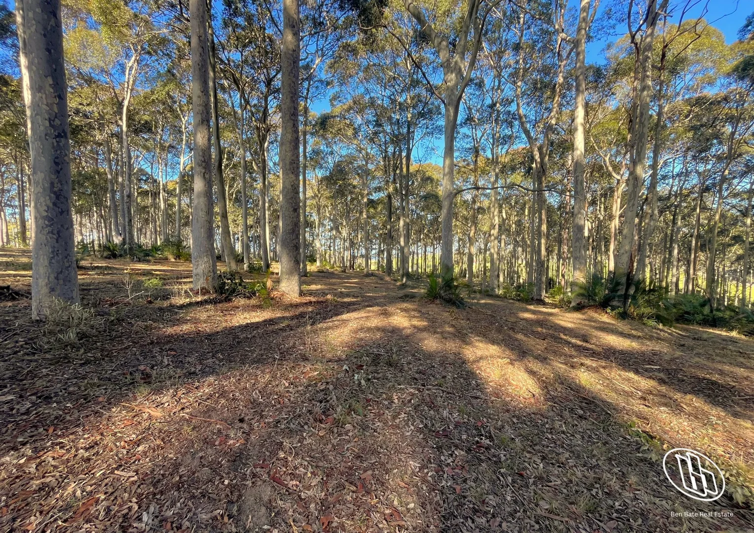 Image 11