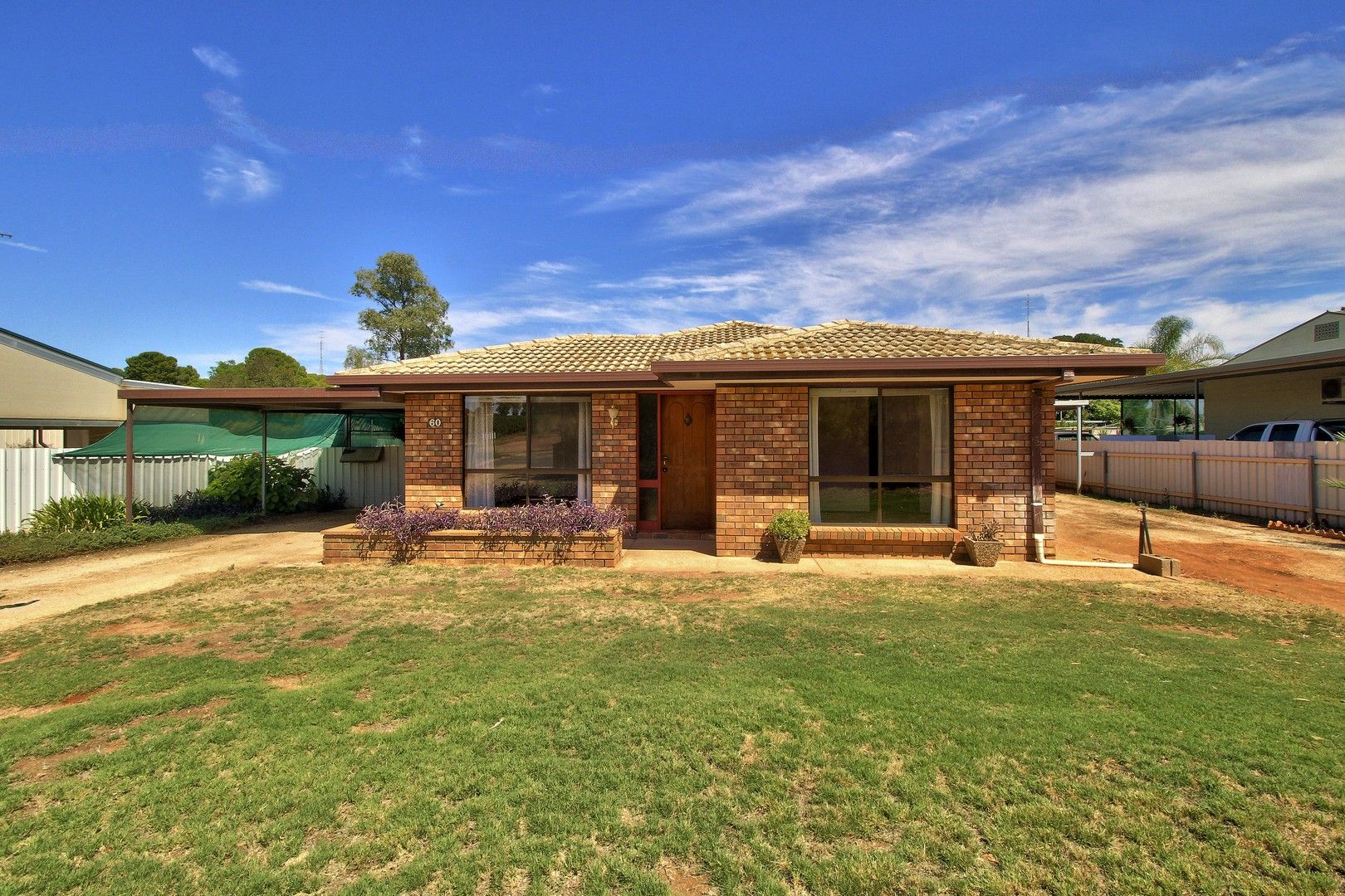 60 COLIN STREET, Loxton SA 5333, Image 1