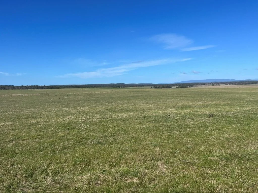 Additional image 11 of 559 North Ansons Road, Gladstone TAS 7264