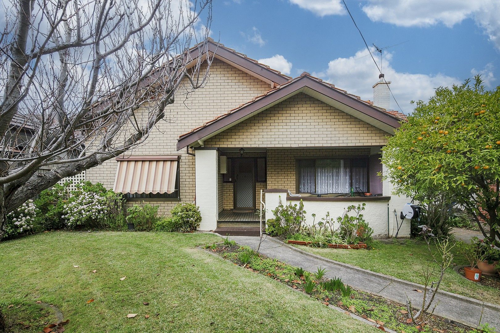 114 Thomas Street, Hampton VIC 3188, Image 0