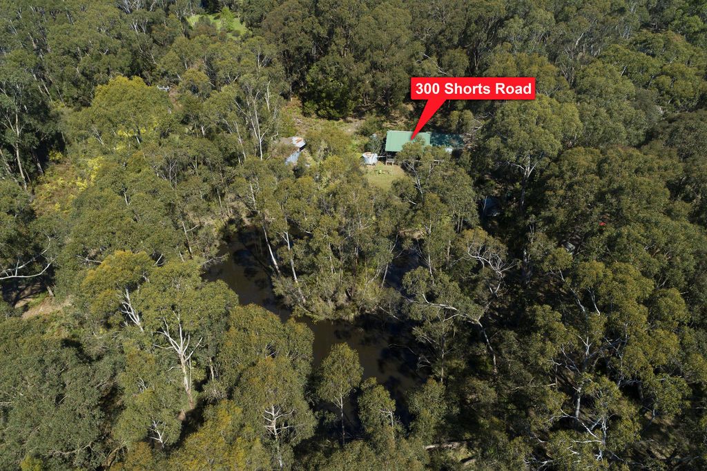 300 Shorts Road, Barongarook VIC 3249, Image 2