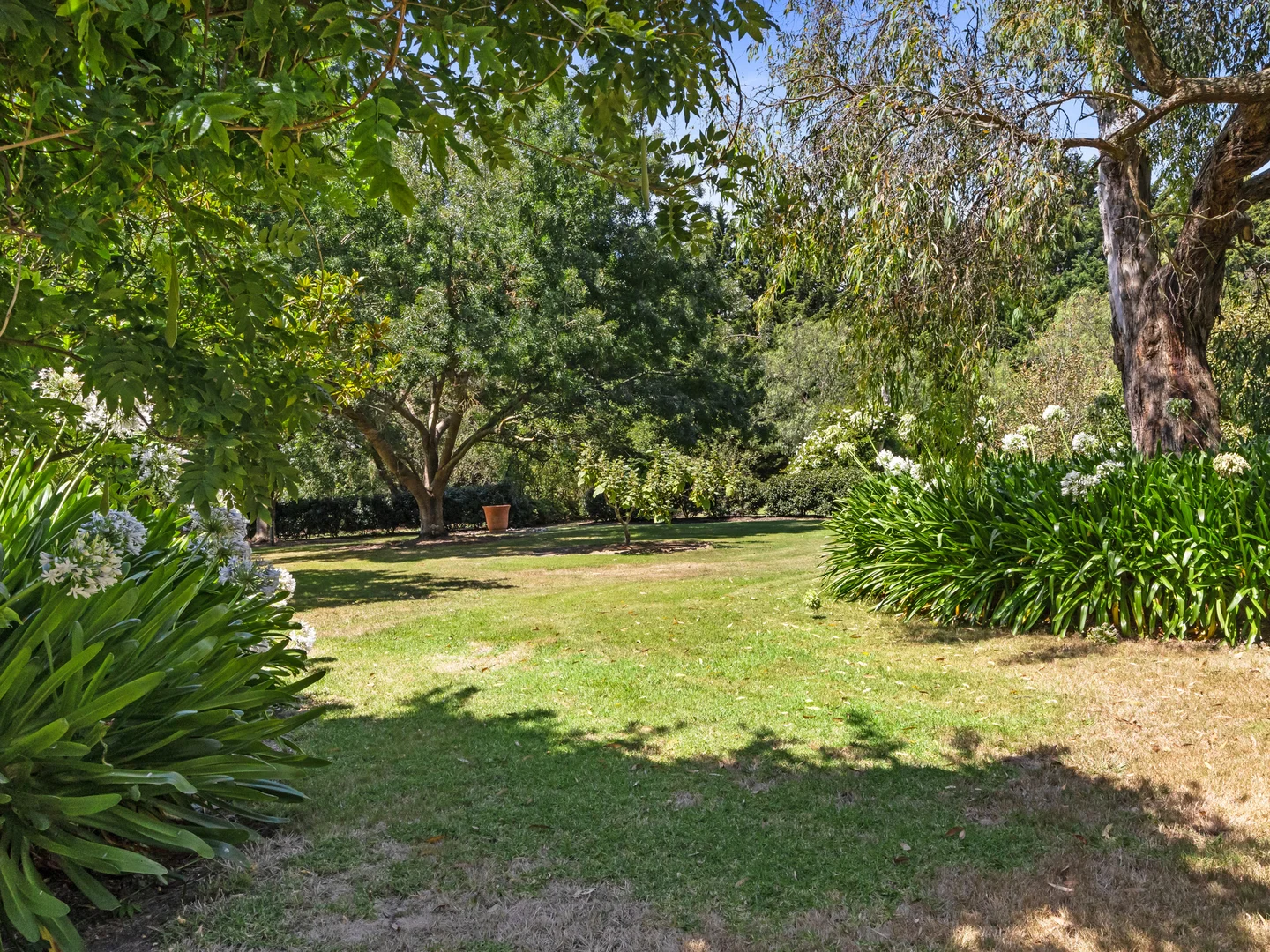 Image 29