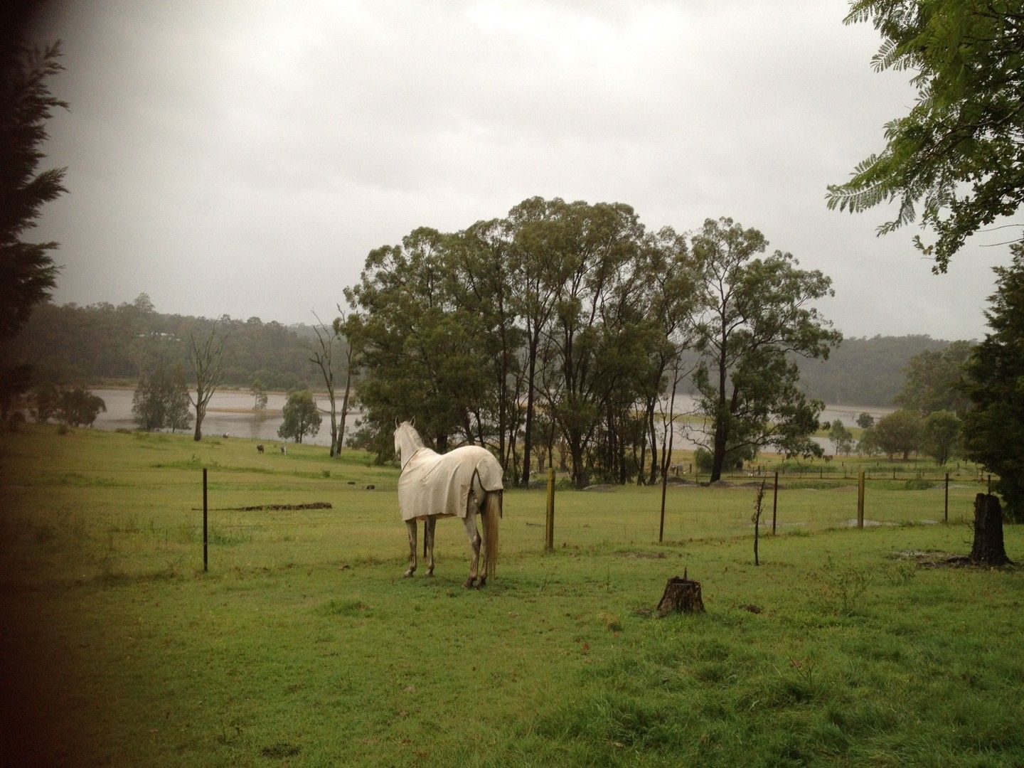 1 bedrooms Semi-Detached in 177A Wisemans Ferry Road, CATTAI NSW, 2756