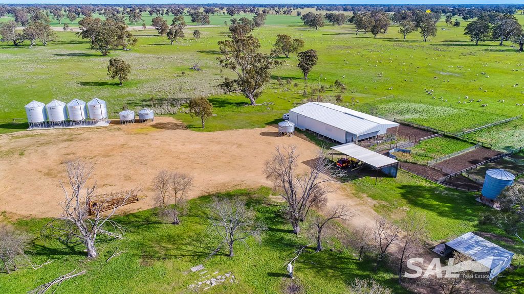 1273 Gap Rd, Frances SA 5262, Image 2