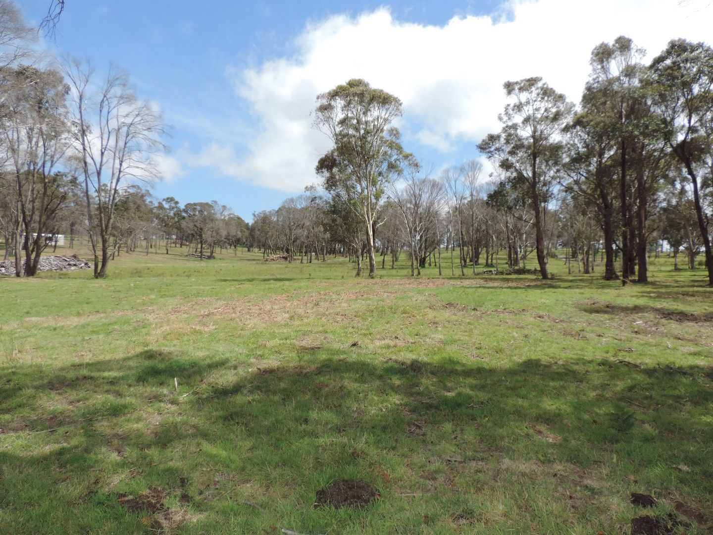 1969 Wombeyan Caves Road, Taralga NSW 2580, Image 1